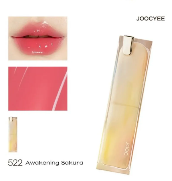 Lip gloss with packaging and color swatches on a white background, featuring the brand 'JOOCYEE'.