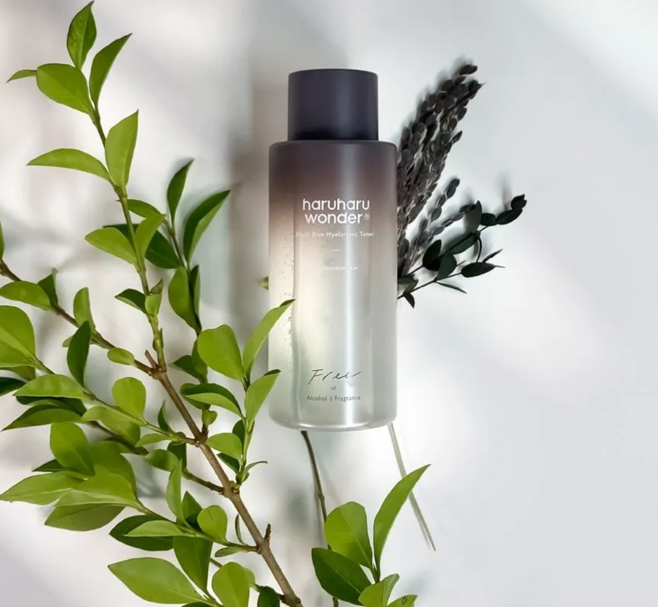 Haruharu Wonder bottle with green leaves and lavender on a light background