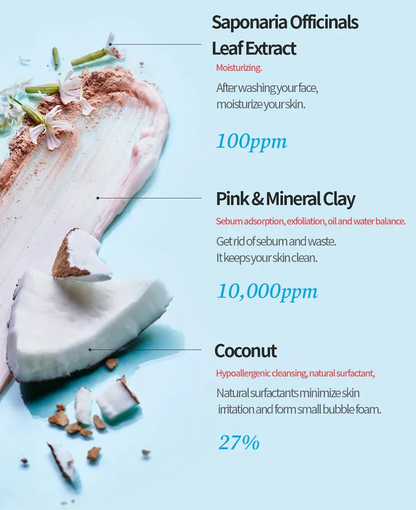 Coconut leaf extract with pink and mineral clay on a light blue background, labeled with their uses and concentrations.