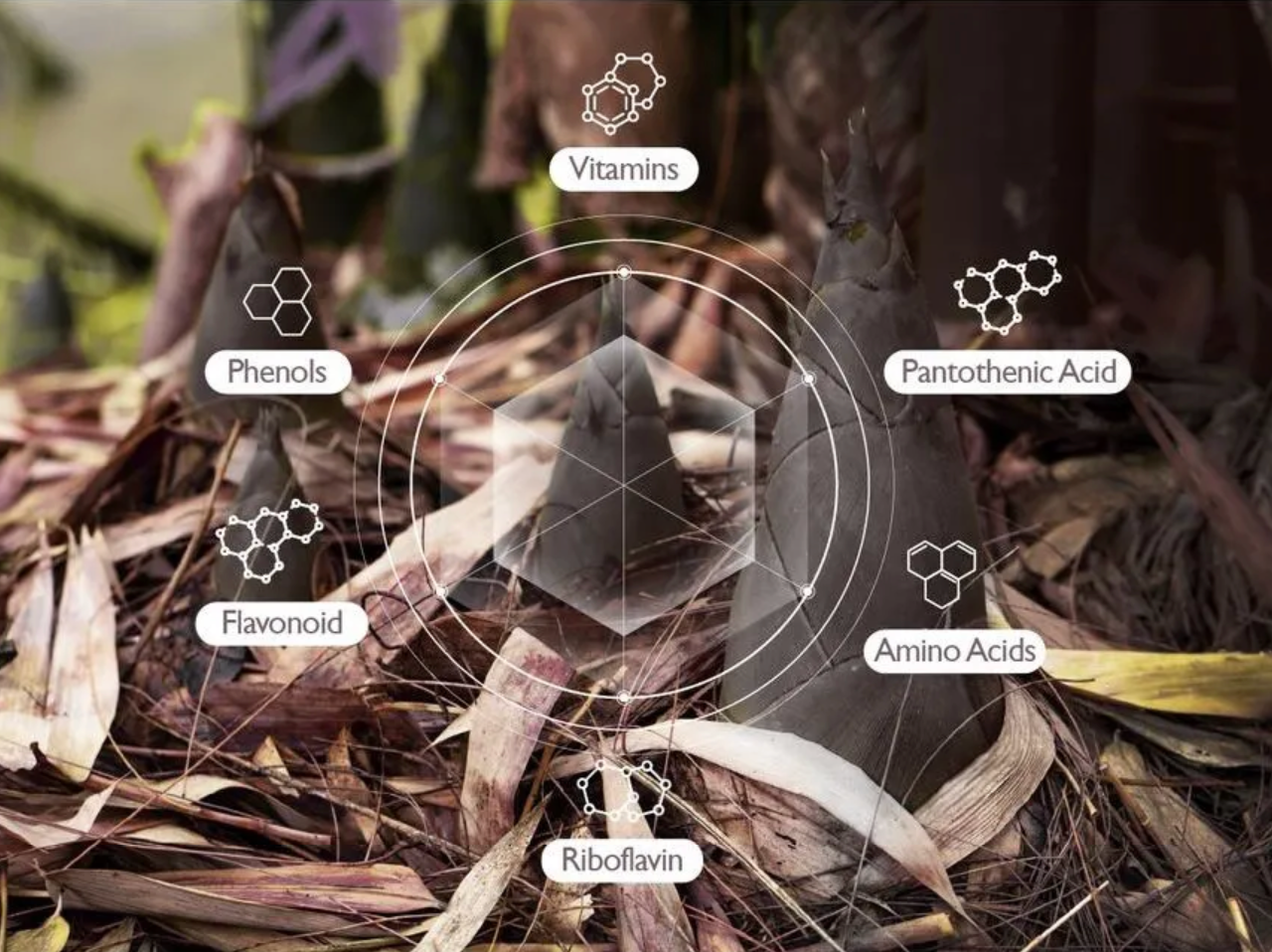 Close-up of a plant with nutritional information icons overlayed on it.