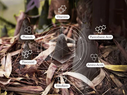 Close-up of a plant with nutritional information icons overlayed on it.