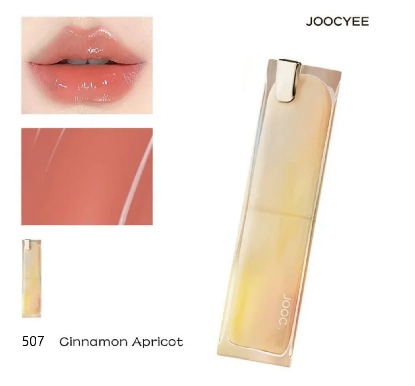 Lip gloss with packaging and color swatch labeled 'Cinnamon Apricot' by JOOCYEE.